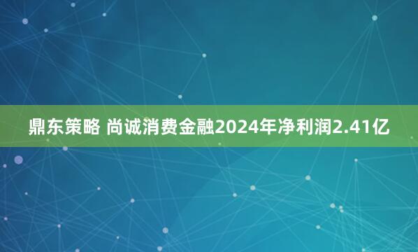鼎东策略 尚诚消费金融2024年净利润2.41亿
